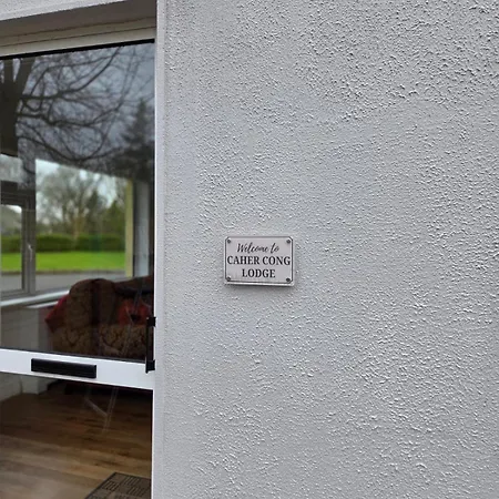 Stylish In コング