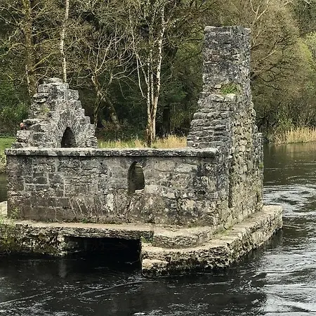 Stylish In Cong