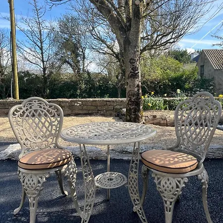 Apartment Stylish In Cong